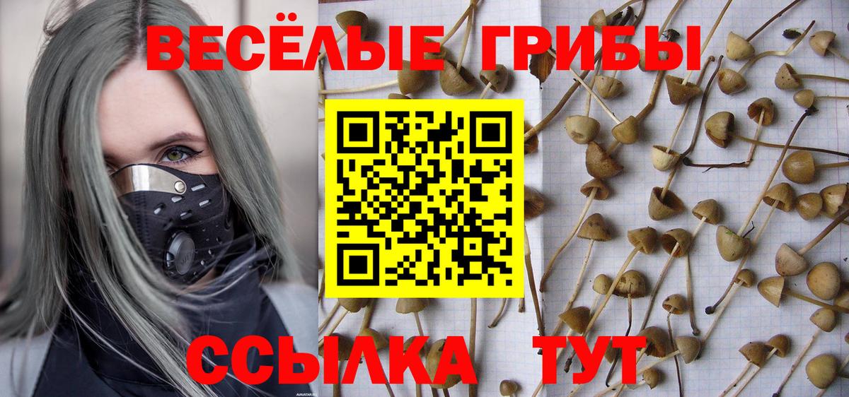Керчь  Псилоцибиновые грибы Magic Shrooms  Псилоцибиновые грибы прущие грибы  Вход с VPN 